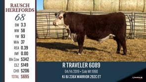 Lot #68 - R TRAVELER 6089