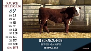 Lot #69 - R BONANZA 4459