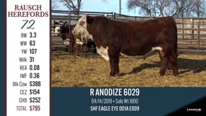Lot #72 - R ANODIZE 6029