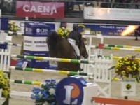 Gastronom de Hus - 1999 - Alezan - 1M71 - Zang