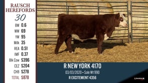 Lot #30 - R NEW YORK 4170