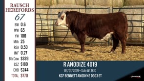 Lot #67 - R ANODIZE 4019