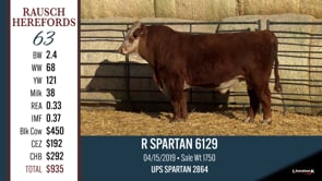 Lot #62 - R NEW YORK 4299