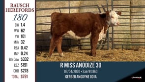 Lot #180 - R MISS ANODIZE 30