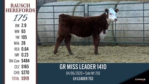 Lot #175 - GR MISS LEADER 1410