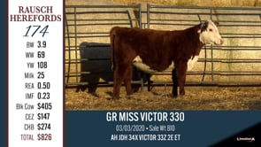 Lot #174 - GR MISS VICTOR 330