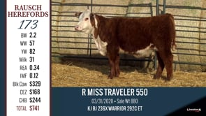 Lot #173 - R MISS TRAVELER 550