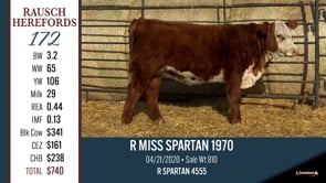 Lot #172 - R MISS SPARTAN 1970