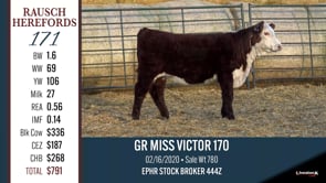 Lot #171 - GR MISS VICTOR 170