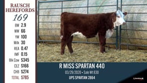 Lot #169 - R MISS SPARTAN 440