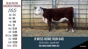 Lot #165 - R MISS HOME RUN 640