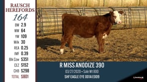 Lot #164 - R MISS ANODIZE 390