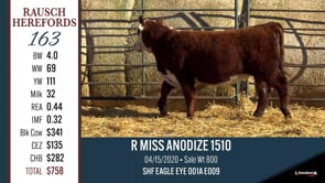 Lot #163 - R MISS ANODIZE 1510 **OUT OF SALE**