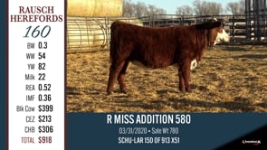 Lot #160 - R MISS ADDITION 580