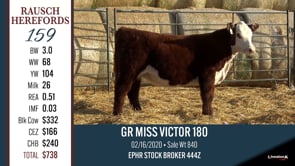 Lot #159 - GR MISS VICTOR 180
