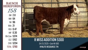 Lot #158 - R MISS ADDITION 5300