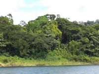 Costa Rica - Santa Elena Cloudforest