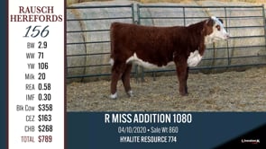 Lot #156 - R MISS ADDITION 1080