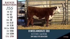 Lot #155 - R MISS ANODIZE 380