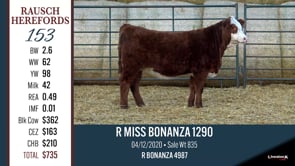 Lot #153 - R MISS BONANZA 1290