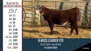 Lot #151 - R MISS LEADER 170