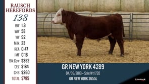 Lot #138 - GR NEW YORK 4289