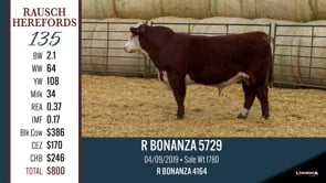 Lot #135 - R BONANZA 5729
