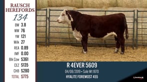 Lot #134 - R 4EVER 5609