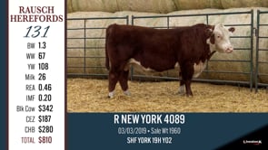 Lot #131 - R NEW YORK 4089