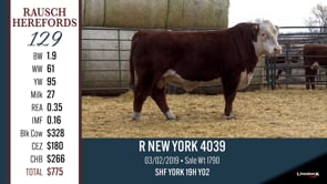 Lot #129 - R NEW YORK 4039