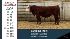 Lot #124 - R AODIZE 6999
