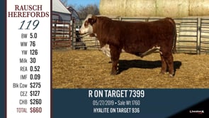 Lot #119 - R ON TARGET 7399
