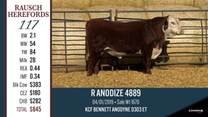 Lot #117 - R ANODIZE 4889