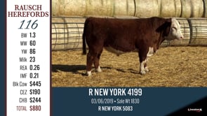 Lot #116 - R NEW YORK 4199