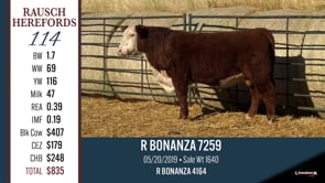 Lot #114 - R BONANZA 7259 **OUT OF SALE**
