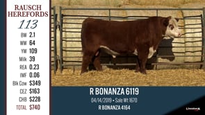 Lot #113 - R BONANZA 6119