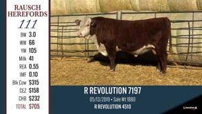 Lot #111 - R REVOLUTION 7197