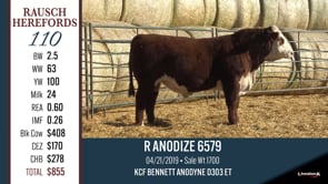 Lot #110 - R ANODIZE 6579