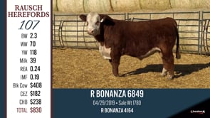 Lot #107 - R BONANZA 6849
