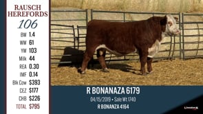 Lot #106 - R BONANZA 6179