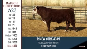 Lot #102 - R NEW YORK 4349