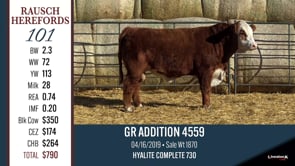 Lot #101 - GR ADDITION 4559