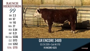 Lot #99 - GR ENCORE 3489