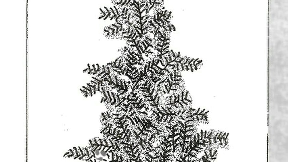 Miniatura: 25. Bajka na dobranoc: Zbój z lasu