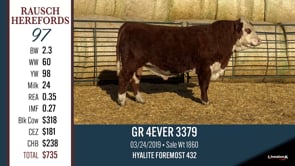 Lot #97 - GR 4EVER 3379