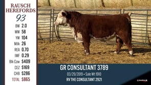 Lot #93 - GR CONSULTANT 3789