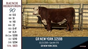 Lot #90 - GR NEW YORK 3259