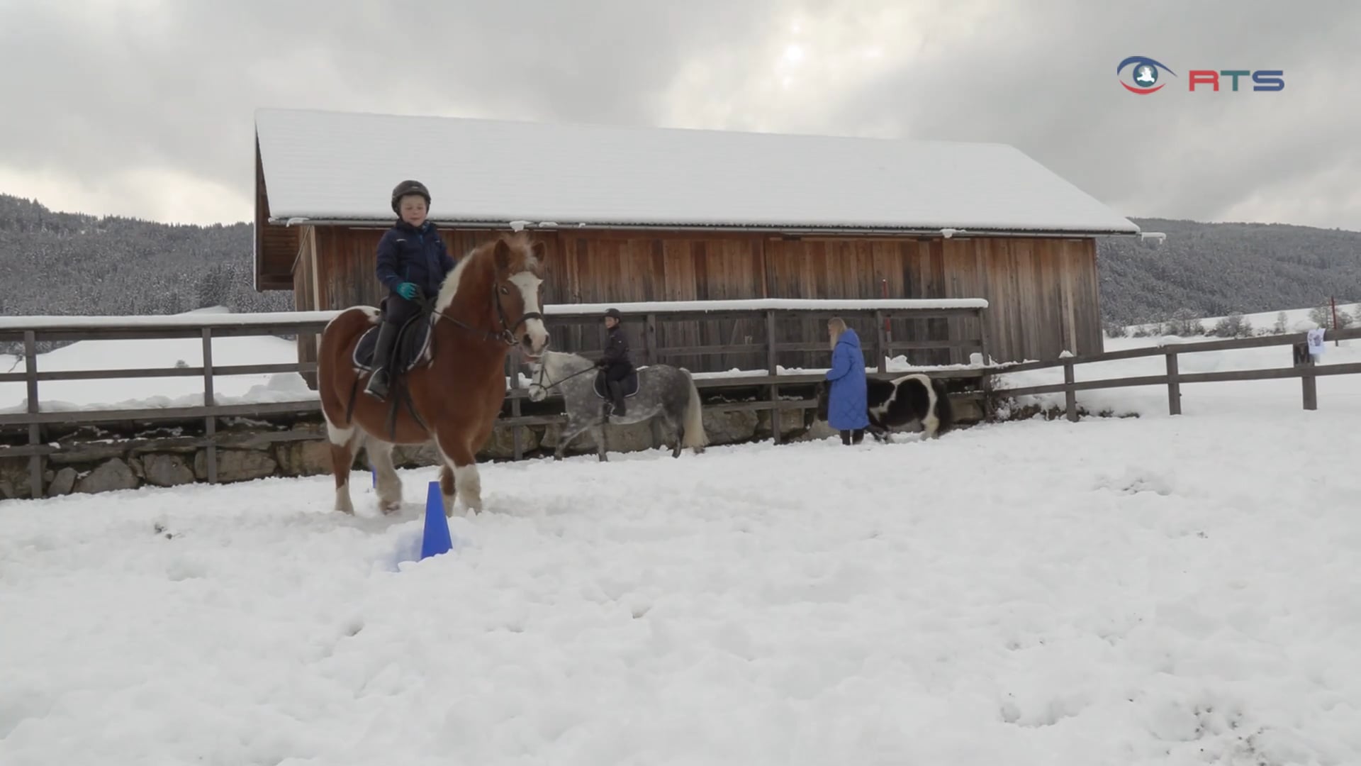 reiten-der-etwas-anderen-art-mit-reitpaedagogin-andrea-kocher