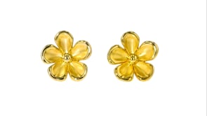 14kt Yellow Gold Concave Flower Stud Earrings