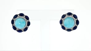 Multi-Gemstone Stud Earrings in Sterling Silver